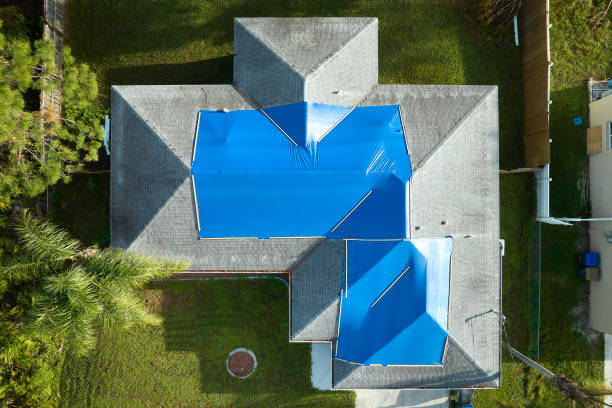 Best Roof Leak Repair  in Kingwood, WV