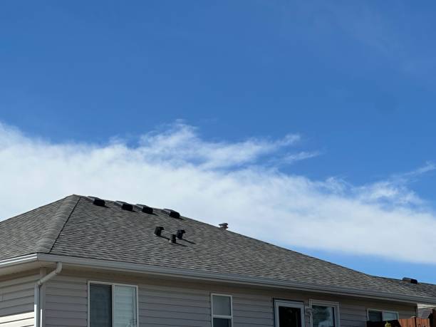Best Wood Shake Roofing  in Kingwood, WV